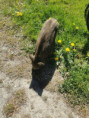 /album/rocroi-2026/2026-04-29-rocroi-07-copie-jpg/